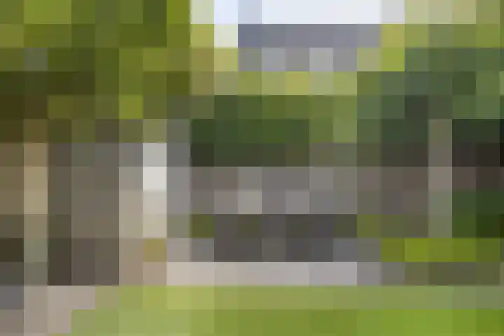 Maatschappijstraat 31 Helenaveen thumbnail 50