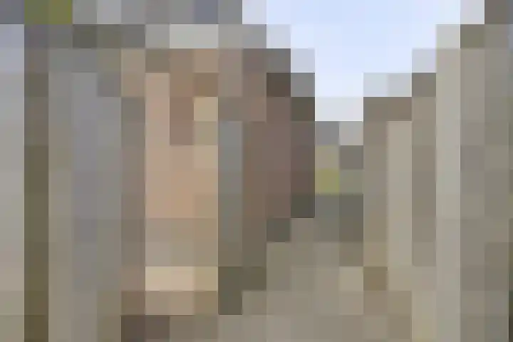 Maatschappijstraat 31 Helenaveen thumbnail 53