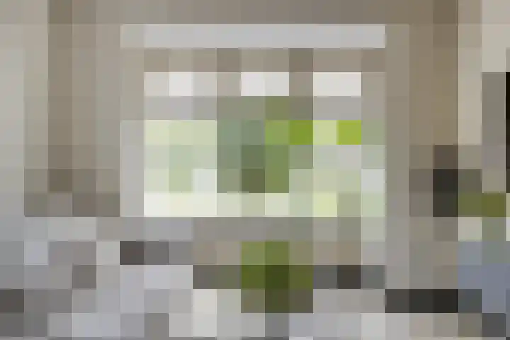 Maatschappijstraat 6 Helenaveen thumbnail 10