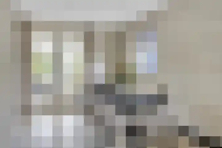 Maatschappijstraat 6 Helenaveen thumbnail 12