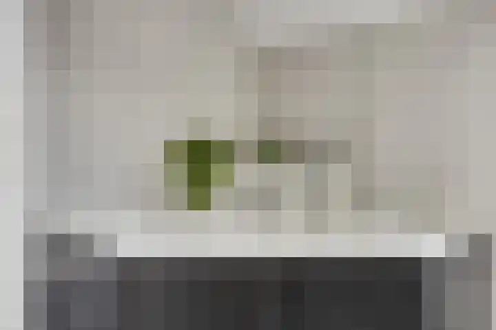 Maatschappijstraat 6 Helenaveen thumbnail 17