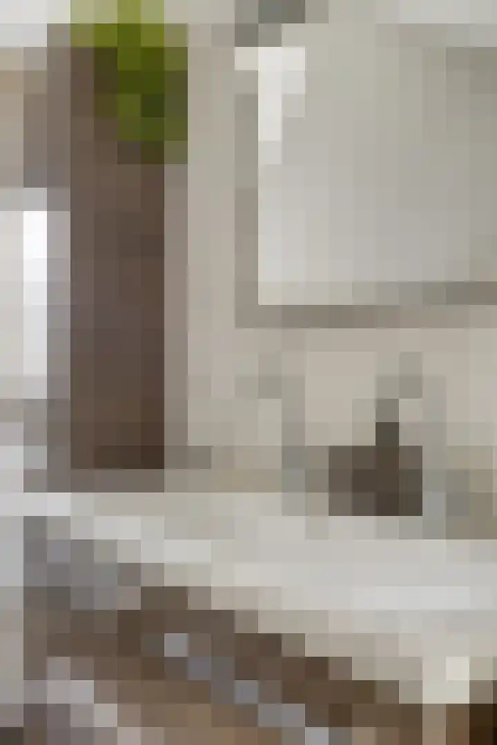 Maatschappijstraat 6 Helenaveen thumbnail 19