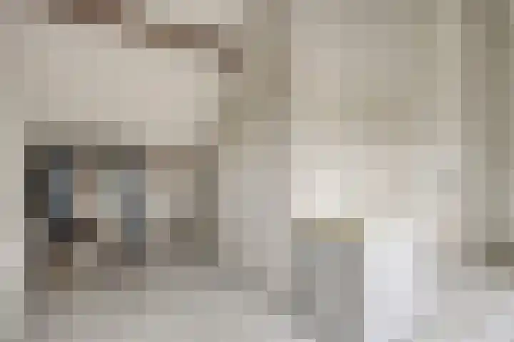 Maatschappijstraat 6 Helenaveen thumbnail 27