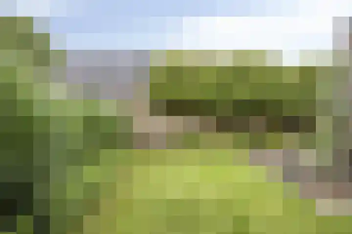 Maatschappijstraat 6 Helenaveen thumbnail 30