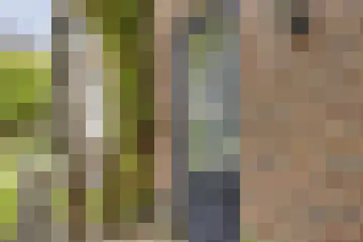 Maatschappijstraat 6 Helenaveen thumbnail 34