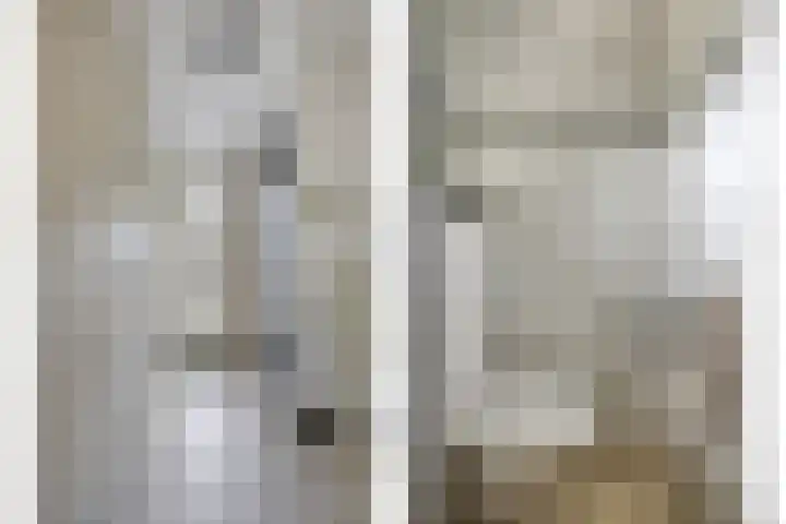 Maatschappijstraat 6 Helenaveen thumbnail 35