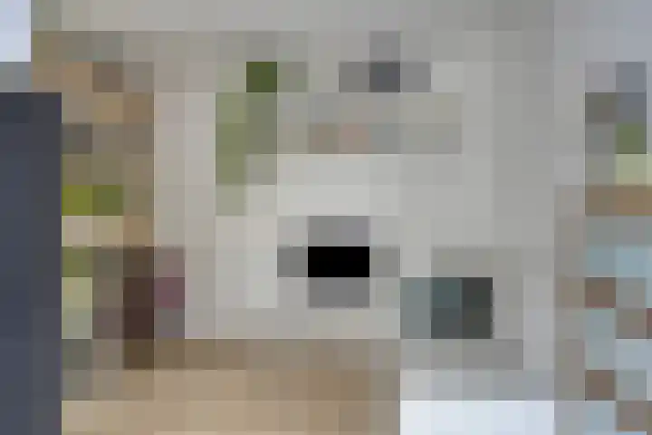 Maatschappijstraat 6 Helenaveen thumbnail 36