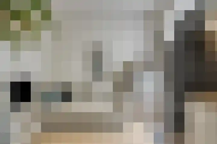 Maatschappijstraat 6 Helenaveen thumbnail 37