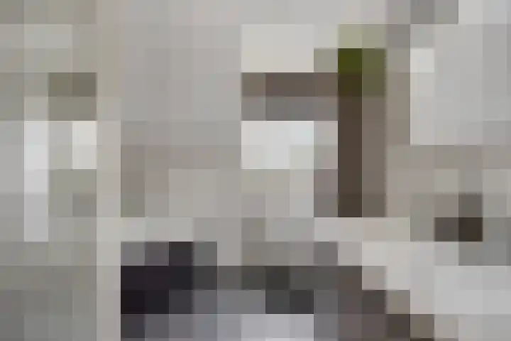 Maatschappijstraat 6 Helenaveen thumbnail 4