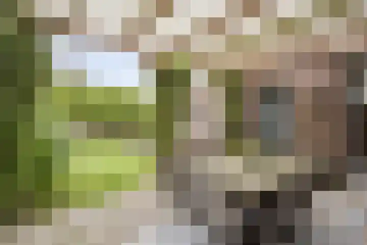 Maatschappijstraat 6 Helenaveen thumbnail 5
