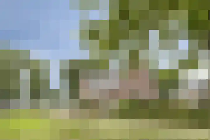Maatschappijstraat 6 Helenaveen thumbnail 6