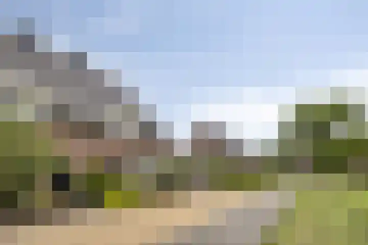 Maatschappijstraat 6 Helenaveen thumbnail 7