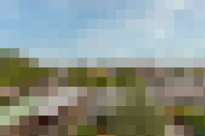 Maatschapslaan 55 Bunnik thumbnail 23