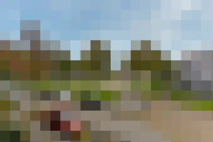 Maatschapslaan 55 Bunnik thumbnail 27