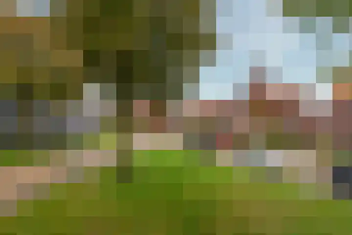 Maatschapslaan 55 Bunnik thumbnail 4