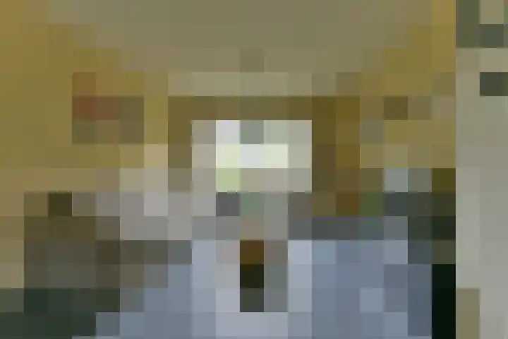 Maatschapslaan 55 Bunnik thumbnail 9