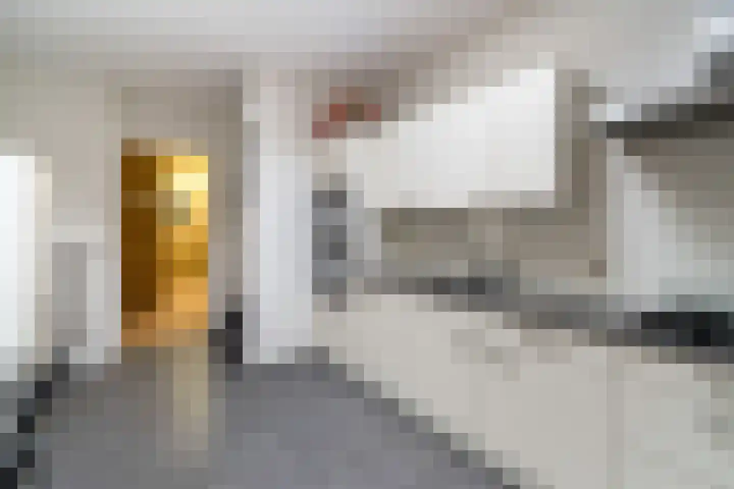 Maatschapslaan 6 Bunnik thumbnail 11
