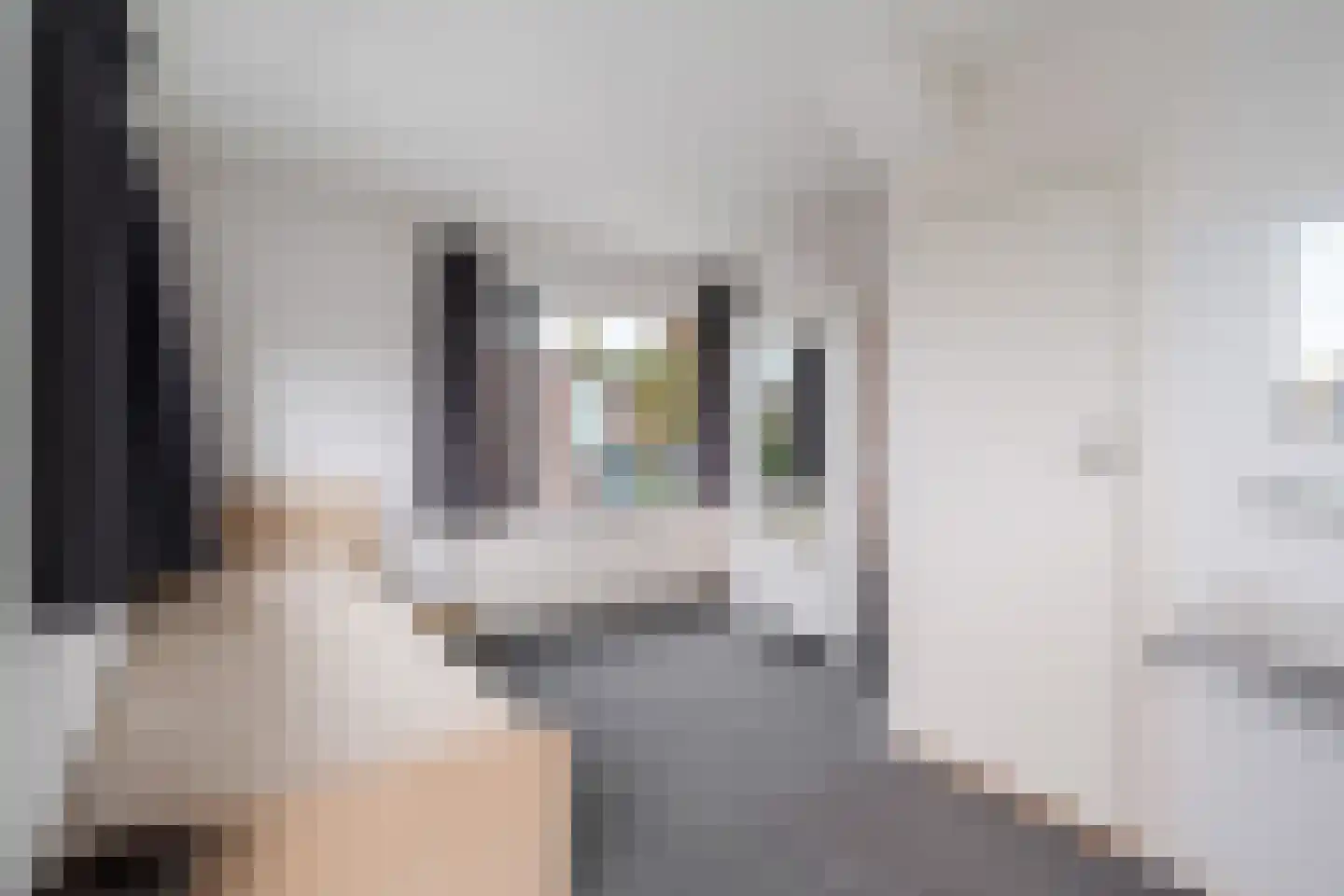 Maatschapslaan 6 Bunnik thumbnail 20