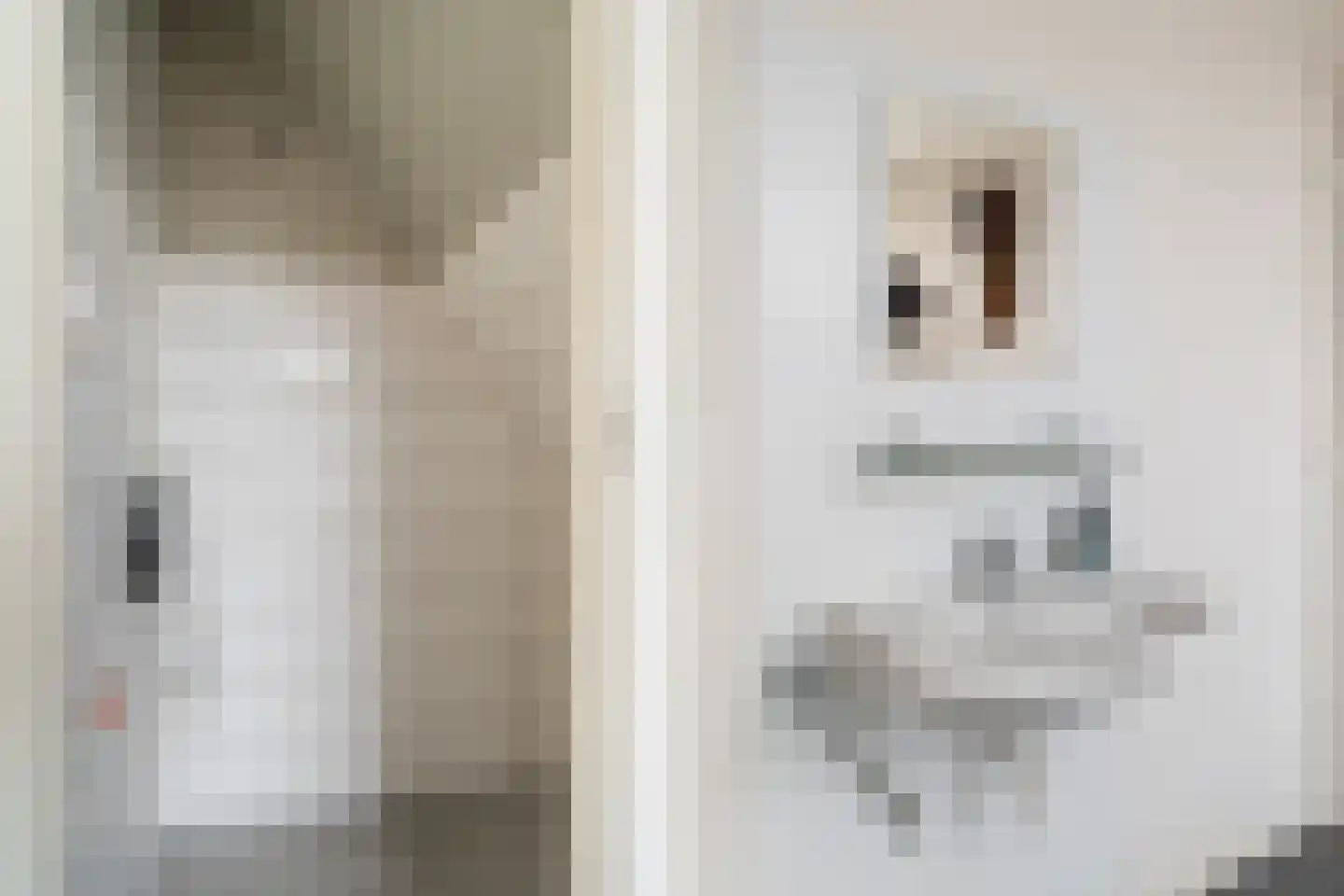 Maatschapslaan 6 Bunnik thumbnail 22