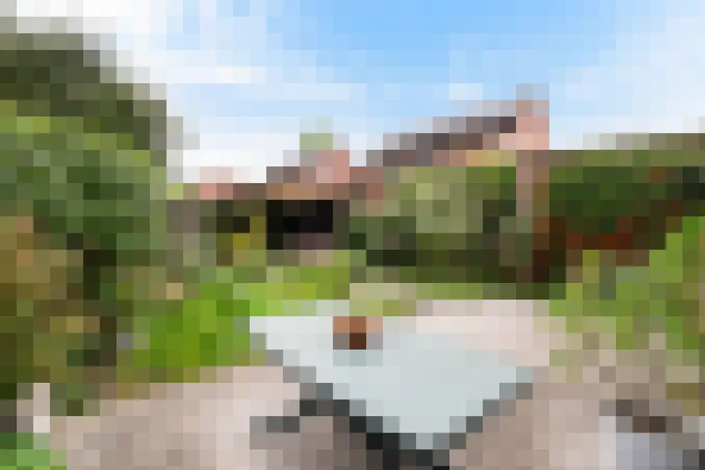 Maatschapslaan 6 Bunnik thumbnail 32