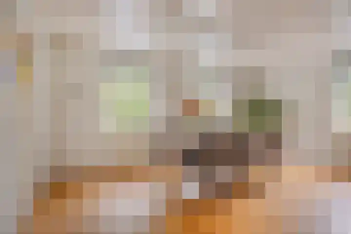 Maatseheistraat 12 A Volkel thumbnail 11