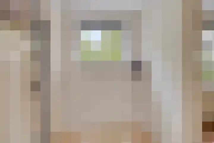 Maatseheistraat 12 A Volkel thumbnail 16
