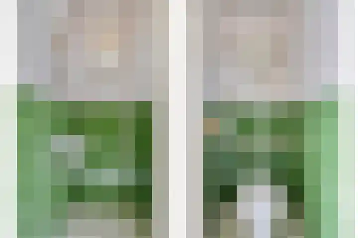 Maatseheistraat 12 A Volkel thumbnail 17
