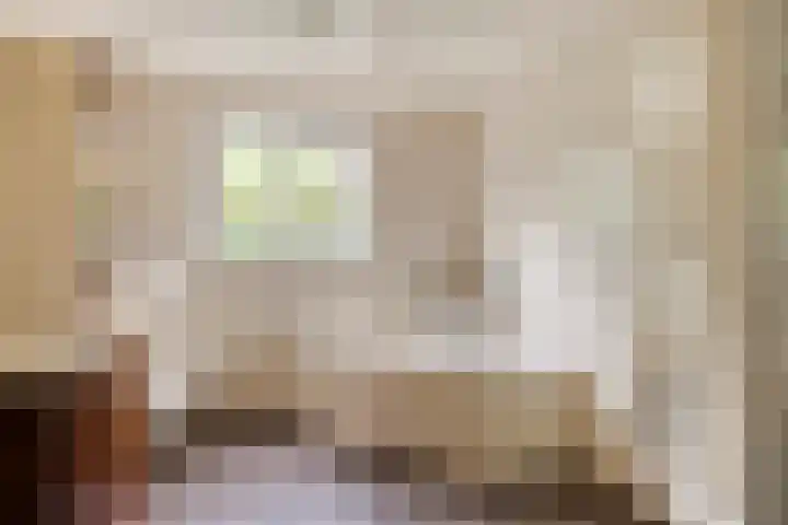 Maatseheistraat 12 A Volkel thumbnail 23