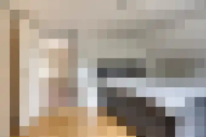 Maatseheistraat 12 A Volkel thumbnail 32