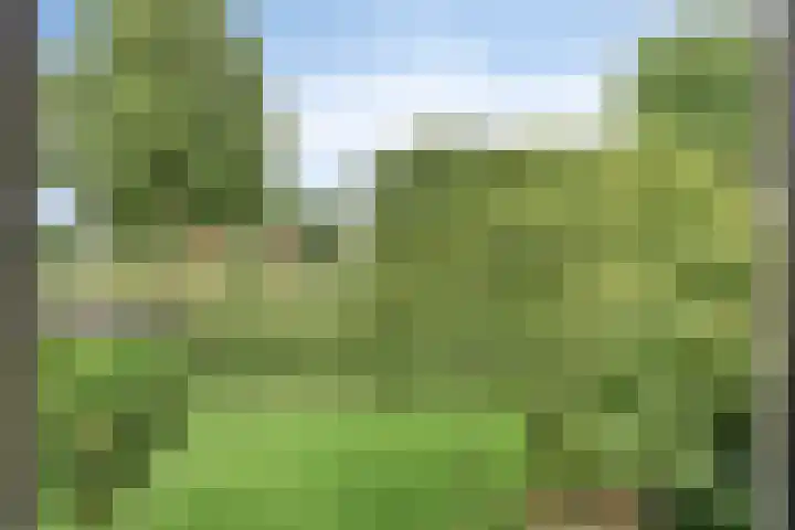 Maatseheistraat 12 A Volkel thumbnail 34