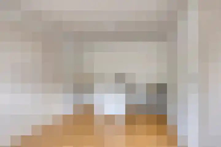 Maatseheistraat 12 A Volkel thumbnail 35