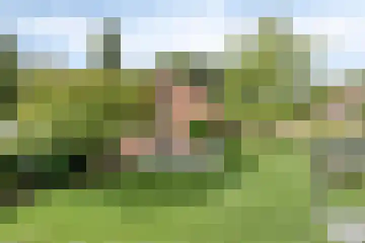 Maatseheistraat 12 A Volkel thumbnail 40