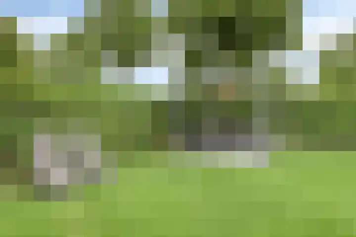 Maatseheistraat 12 A Volkel thumbnail 42
