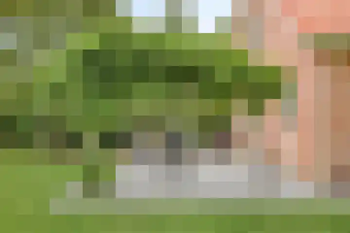 Maatseheistraat 12 A Volkel thumbnail 43
