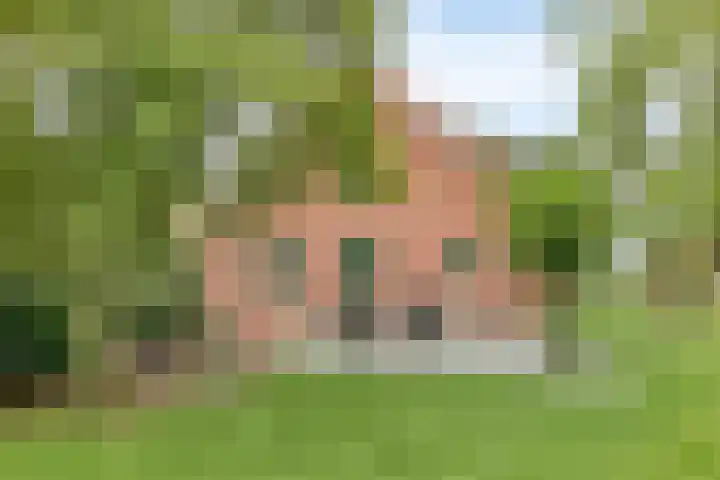 Maatseheistraat 12 A Volkel thumbnail 44
