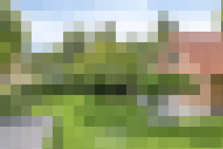 Maatseheistraat 12 A Volkel thumbnail 46