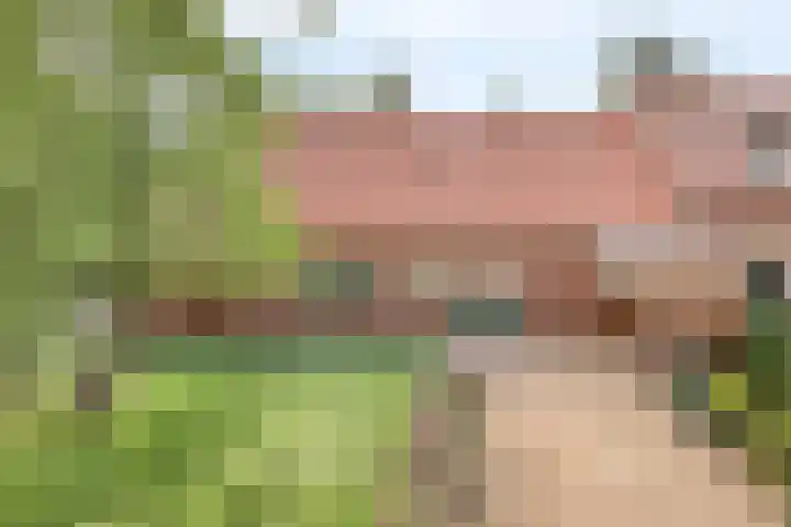 Maatseheistraat 12 A Volkel thumbnail 5