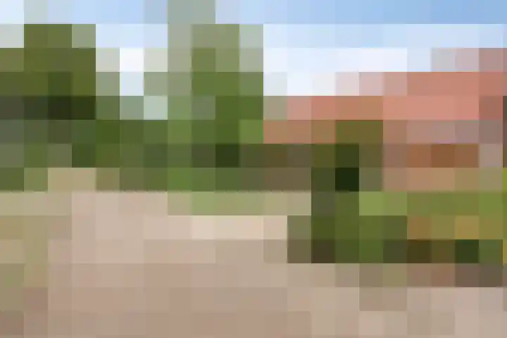Maatseheistraat 12 A Volkel thumbnail 51