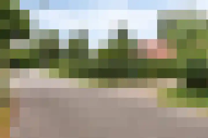 Maatseheistraat 12 A Volkel thumbnail 52