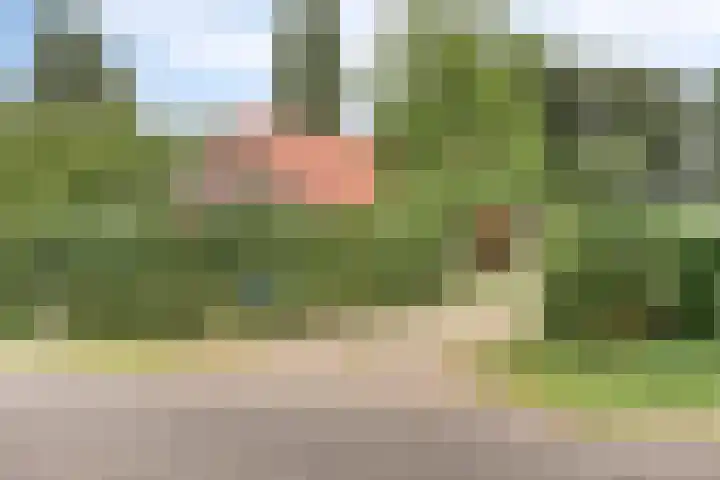 Maatseheistraat 12 A Volkel thumbnail 57