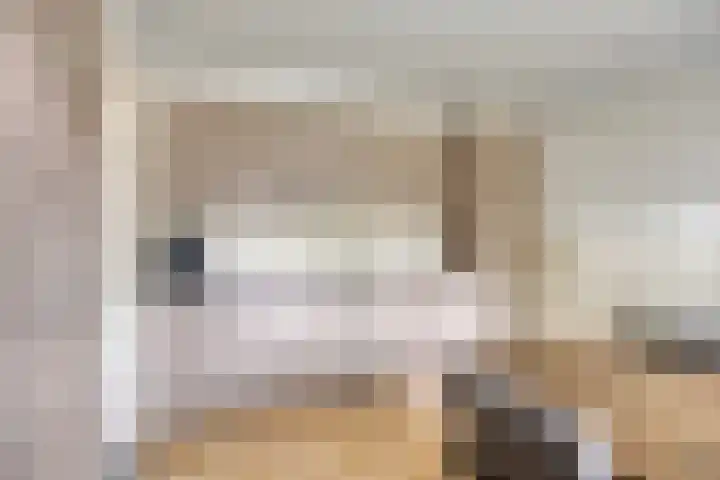 Maatseheistraat 12 A Volkel thumbnail 9