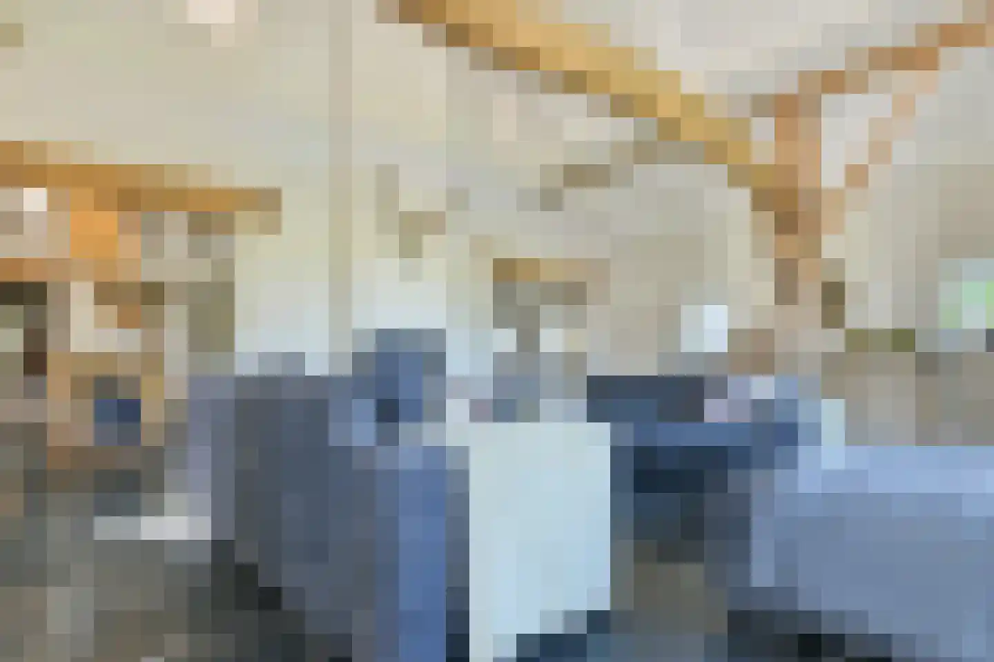 Maatseheistraat 35 Volkel thumbnail 10