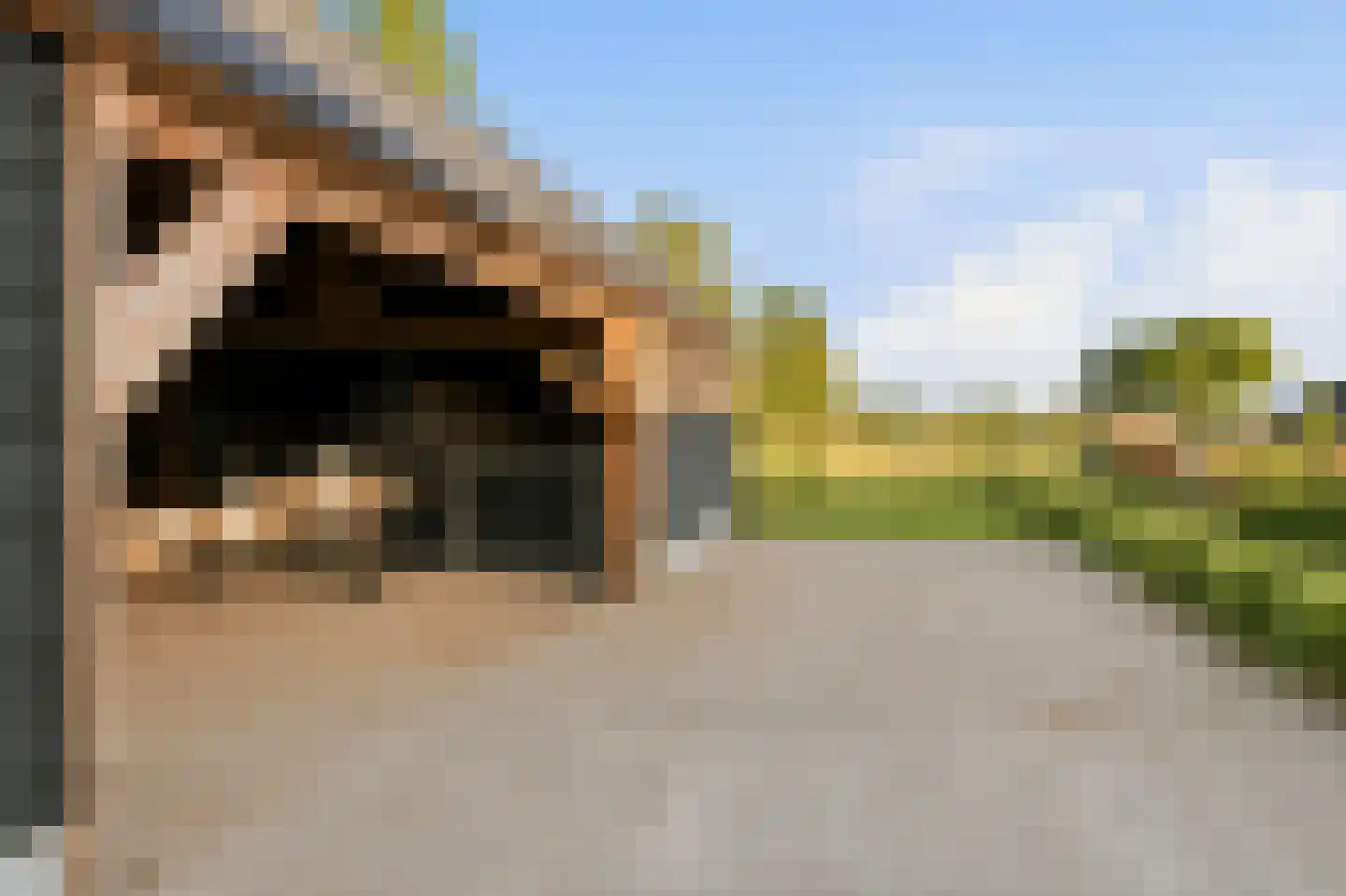 Maatseheistraat 35 Volkel thumbnail 30