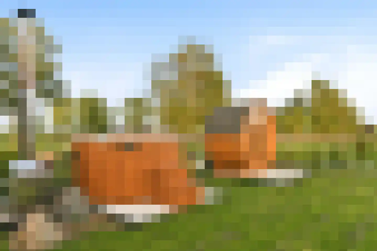 Maatseheistraat 35 Volkel thumbnail 38