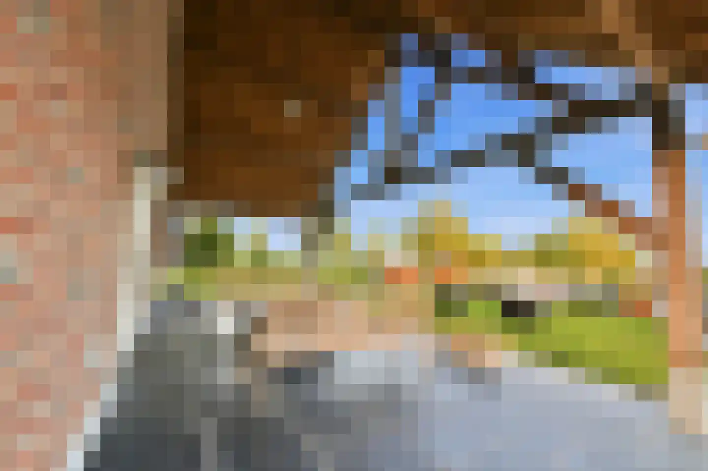 Maatseheistraat 35 Volkel thumbnail 39