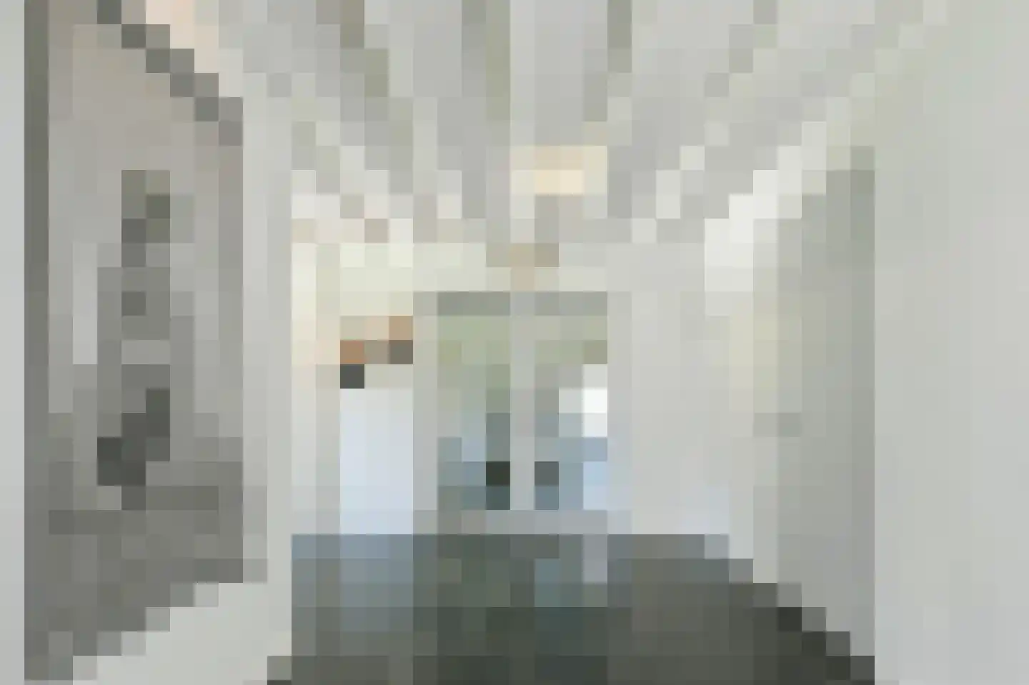 Maatseheistraat 35 Volkel thumbnail 7