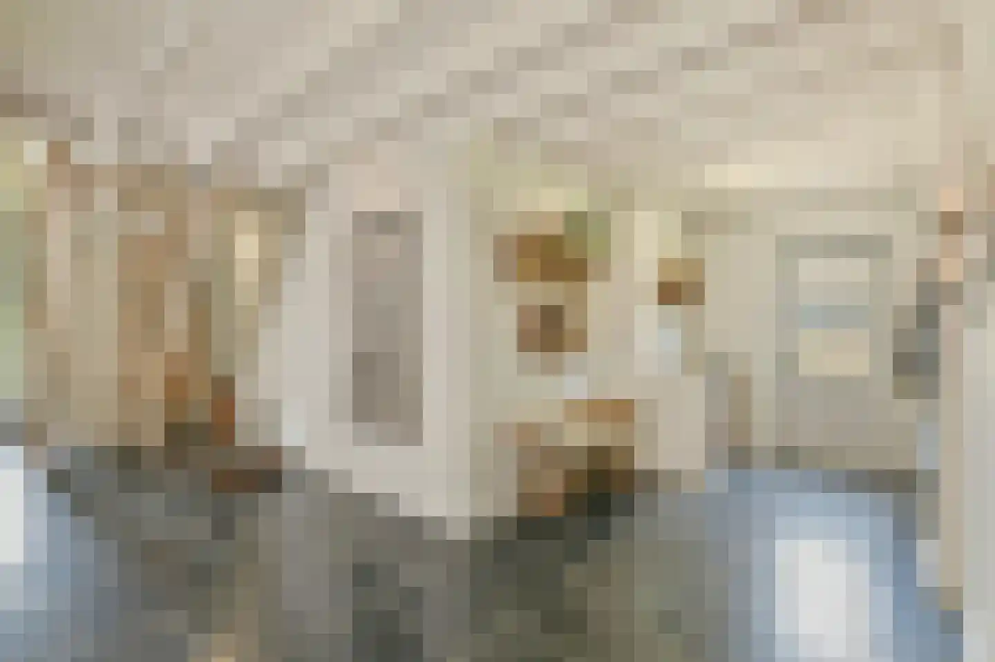 Maatseheistraat 35 Volkel thumbnail 9