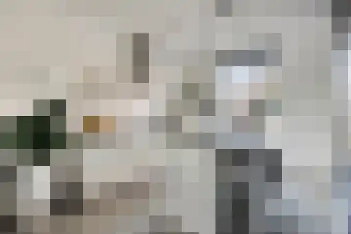 Maatsestraat 4 E Uden thumbnail 22