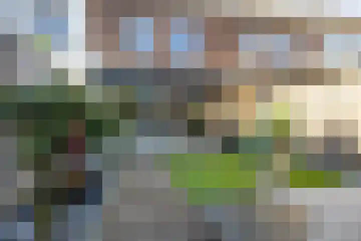 Maatsestraat 4 E Uden thumbnail 4