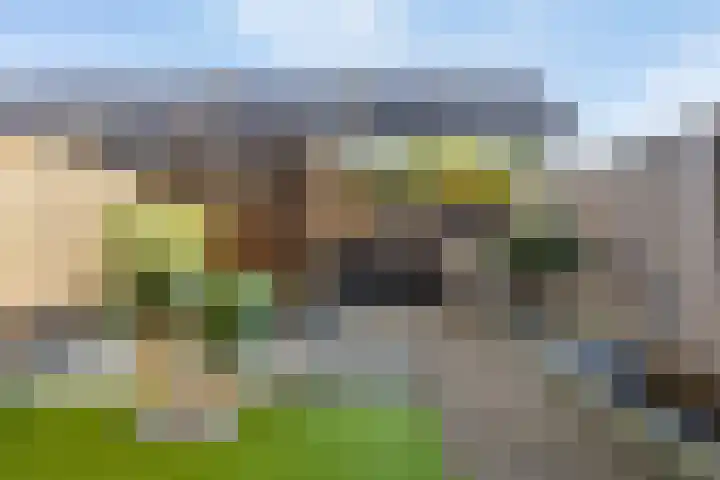 Maatsestraat 4 E Uden thumbnail 44